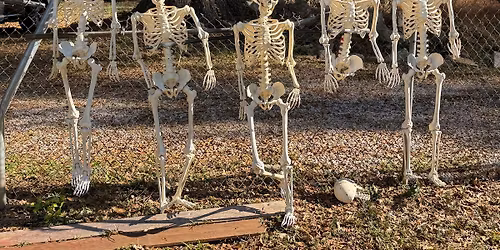 2026 Little 5 Points Halloween Festival & Parade - FREE EVENT