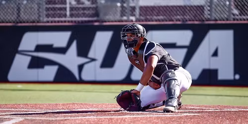 New Mexico State Aggies at Baylor Bears Baseball