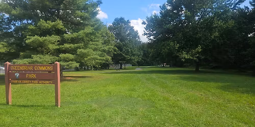 Creek Clean Up: Pitch in!