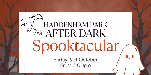 Haddenham Park After Dark Spooktacular