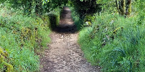 Golden Harvest Gallop at Birdshill Park