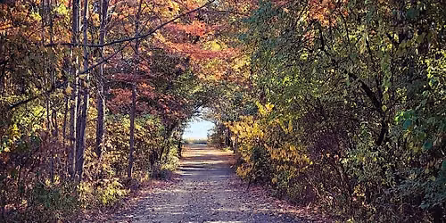 Fall Cell Phone Photography Workshop - Beginners