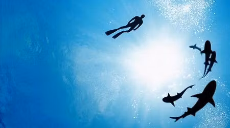 "Sharkwater" FREE Film Screening
