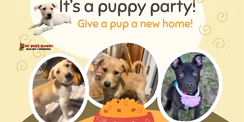 My Dog's Bakery-April 2026