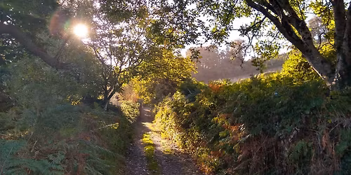 Dreaming the Path: a 6-night Buddhist meditation retreat concerning dreams