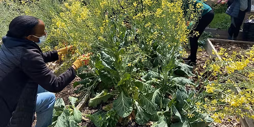 Care: Earth Day Gardening and Art Workshop