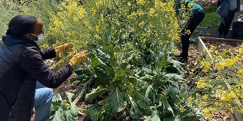 Care: Gardening and Art Workshop