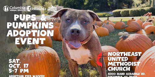 Pups & Pumpkins Adoption Event