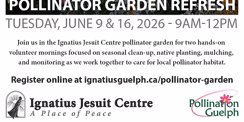 Pollinator Garden Refresh
