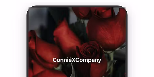 ConnieXCompany