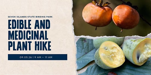Edible and Medicinal Plant Hike