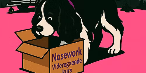 Nosework Videreg\u00e5ende kurs\/FULLT