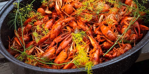 Kraftskiva Potluck