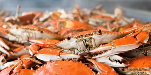 2026 Maryland Seafood Festival