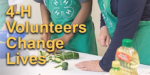 4-H Volunteer Workshop Session #1