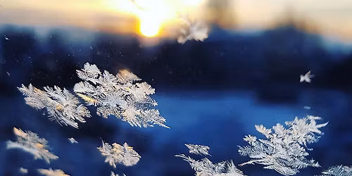 The Science of Snowflakes