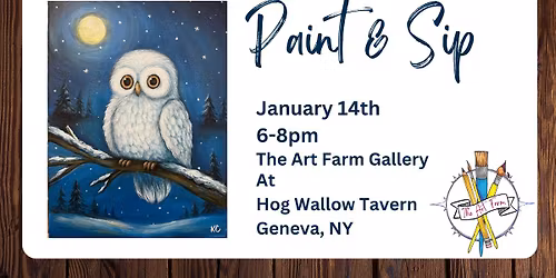 Snowy Owl @ Hog Wallow Tavern