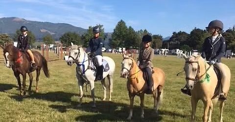 SHOW HUNTER TRAINING WEEKEND