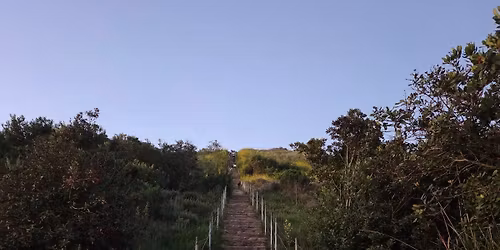 Culver city stairs hike