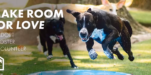 Petco Adoption Event