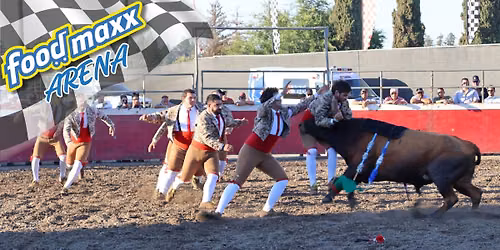TPA Portuguese Bloodless Bullfights @ the Stan Co Fair