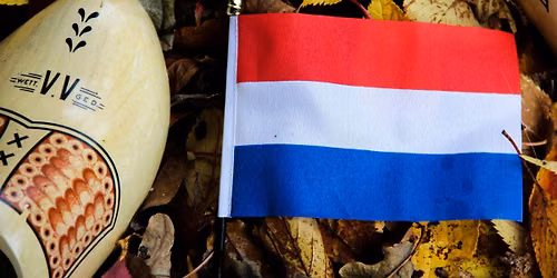 Duolingo+Nederlands in Gang  Newcomers Learn Dutch highly educated expats