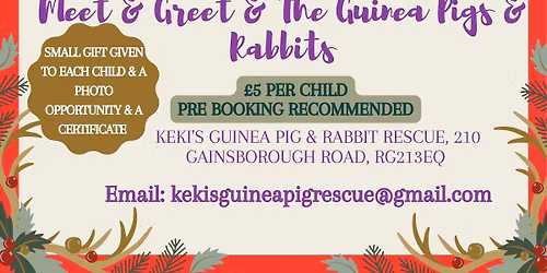 Annual Meet Santa and the Guinea Pigs & Rabbits at the Rescue