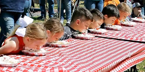 Pinellas Park Strawberry Festival