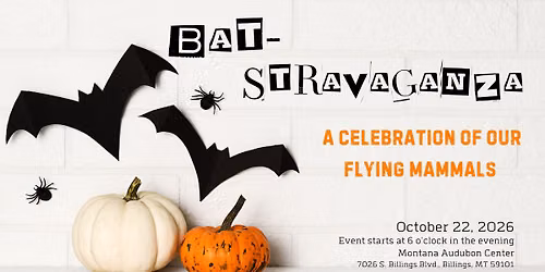 Bat-Stravaganza!