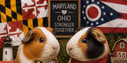 Appalachian Cavy - CORBA Collaborative Show !