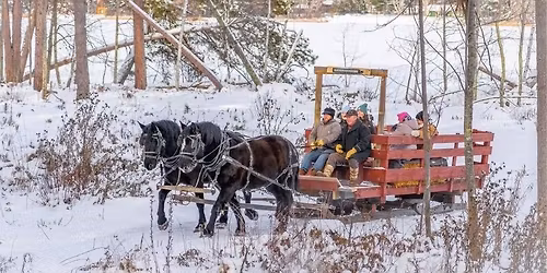 Winter Sleigh Rides