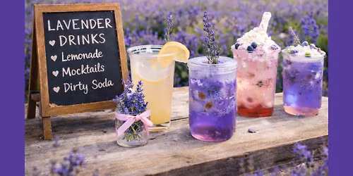 Lavender Fest at Lavender on the Bryn\ud83d\udc9c