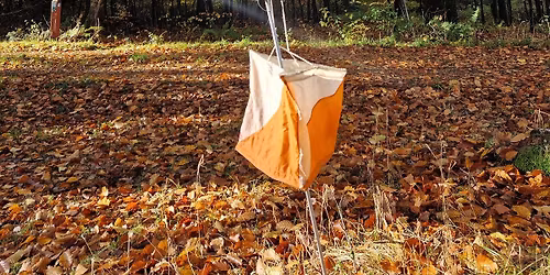 B\u00f8rne unge tr\u00e6ning