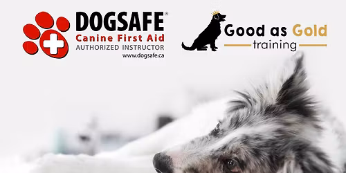 Dogsafe Canine First Aid 101