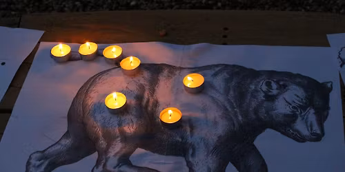 Tajemství noční oblohy