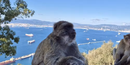 Ten, kur susitinka vandenynai: Gibraltaro didyb\u0117 ir Andal\u016bzijos perlai 2026.11.09-16d.