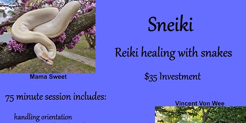 Sneiki - Reiki Healing with Snakes