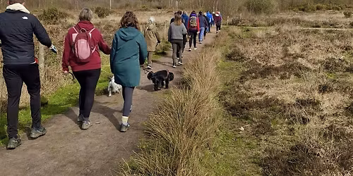 National Walking Month Wellbeing Walk Hothfield Heathlands (Ashford, Kent)