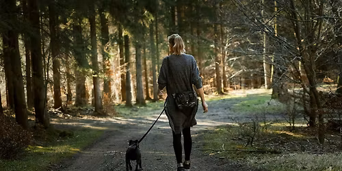 Paws & Pause - ALL WELCOME - March 2026