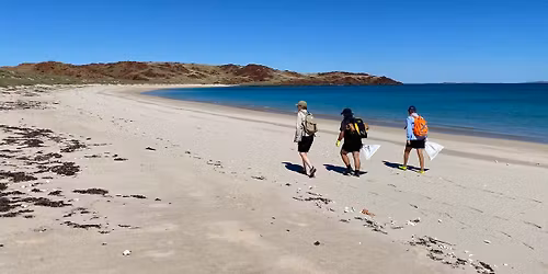 Pilbara Dive and Tours Island Clean Up \u2013 Volunteers Needed! 