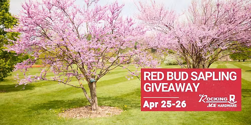 Red Bud Sapling Arbor Day Weekend Giveaway