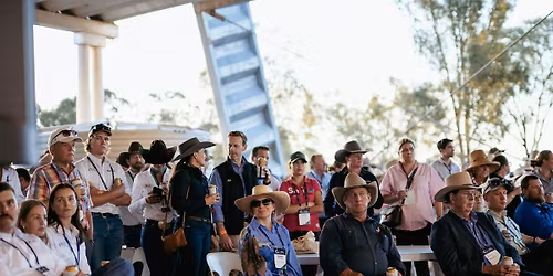 Cattle Australia's Beef Brief