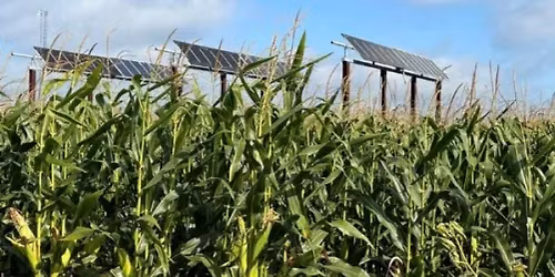 Sierra Club General Meeting: A History of Energy in Mexico