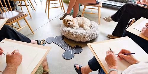 Dog Life Drawing at Boston Tea Party, Bristol - Spring Season