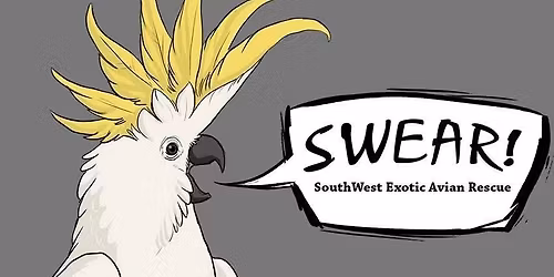 Bird Grooming November 29