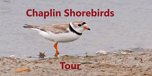 Chaplin Shorebirds Public Tour