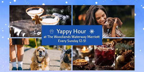 Winter Wonderland Yappy Hour at The Woodlands Waterway Marriott 