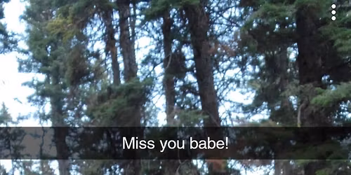 Bollar Bear\u2019s Celebration of Life