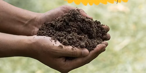 Introduction to the Soil Food Web