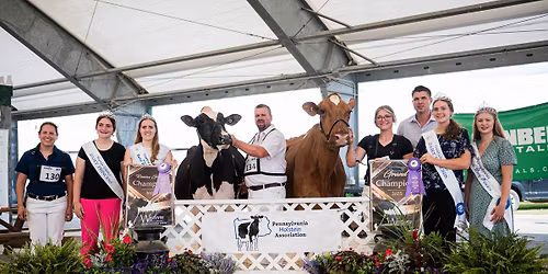 Western PA Championship & Open Holstein Show